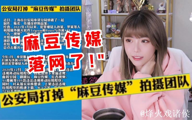 麻豆传文化传媒官方网站入口免费观看资源